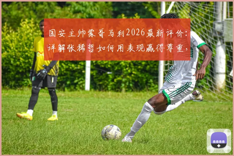 国安主帅蒙哥马利2026最新评价：详解张稀哲如何用表现赢得尊重，成为球队不可或缺的中流砥柱