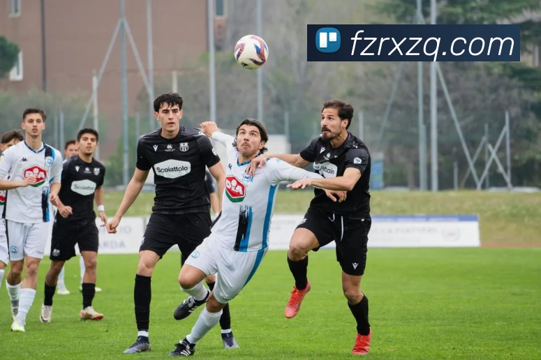 平台展示图